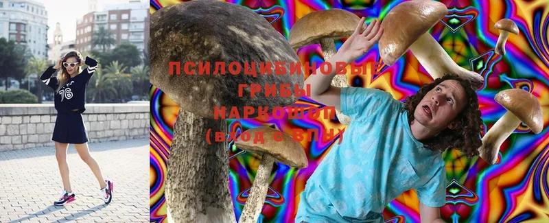 Псилоцибиновые грибы Magic Shrooms  Усолье-Сибирское 